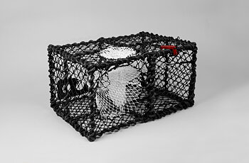 Crab Creel, Rectangular