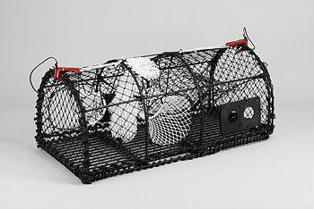 Lobster Creel 36'', Parlour, 9 KG