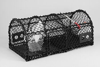 Lobster Creel 43'', Parlour, Side Opening, 19 KG
