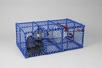 Prawn Creel, Parlour, Blue, Plastic Entrance