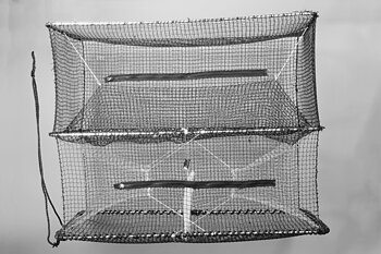 Cod Trap, Large, Two Entrances