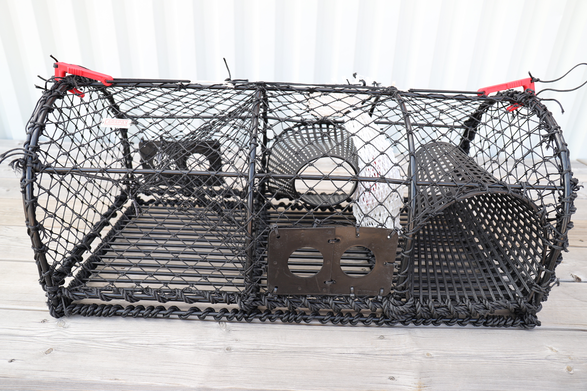 Nyhet  Senaste produkterna