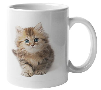 Mugg - Kattunge