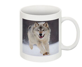 Mugg - Varg, Glad varg som springer i snön