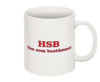 Mugg - HSB, Han som bestämmer