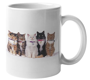 Mugg - Katter