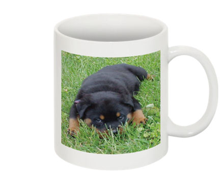 Fotomugg, Mugg med eget foto - bild