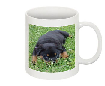 Fotomugg, Mugg med eget foto - bild