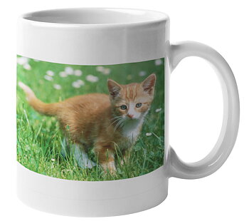 Mugg - Katt i gräset