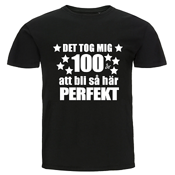 T-shirt - Det tog mig 100 år att bli så här perfekt