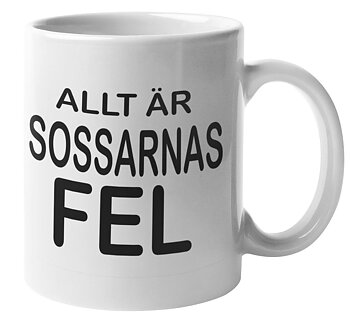 Mugg - Allt är sossarnas fel