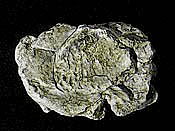Wind Rock