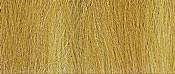 Field grass, Harvest gold