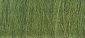 Field grass, Medium green