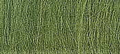 Field grass, Medium green