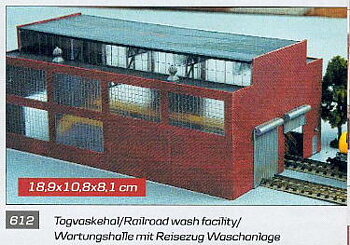 Railroad wash facility