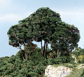 Forest Canopy - Dark Green