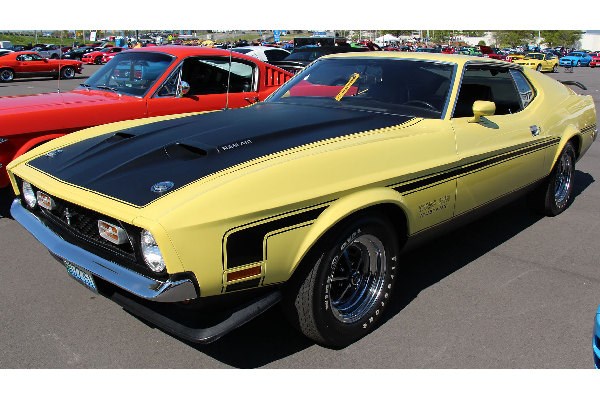 71' Mustang Boss 351 1/25