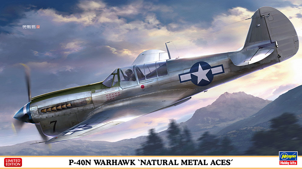 P40N Warhawk Natural Metal aces 1/48