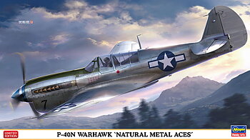 P40N Warhawk Natural Metal aces 1/48