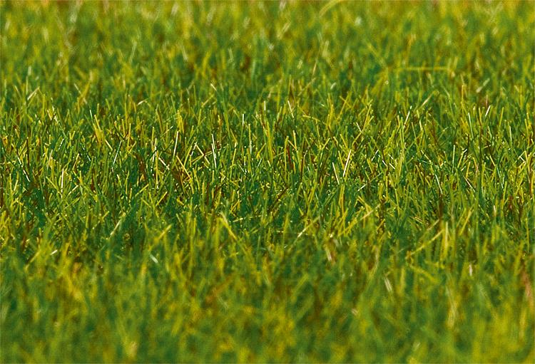 Premium Streufasern Gras,