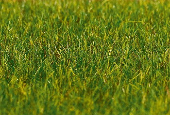 Premium gräs 6mm, mörkgrön, 30g