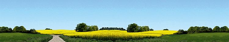 Modellhintergrund