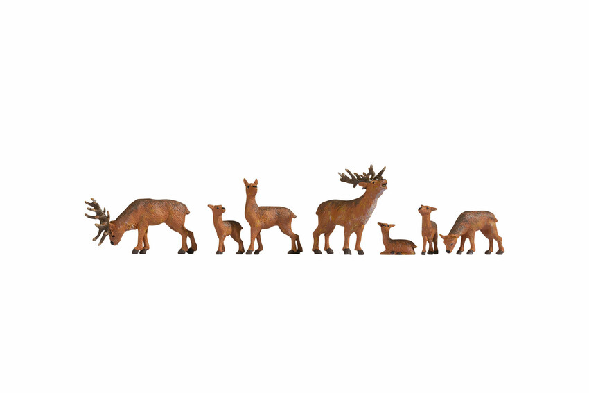 Deer