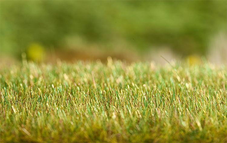 Gräsmaskin Gras-Fix - 3