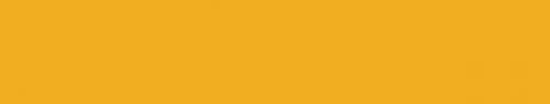 Trainer Yellow 22ml