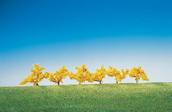 6 Forsythien, gelbblühend, ca