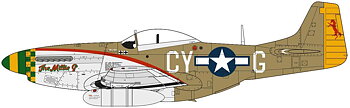 NA P-51D Mustang 1/48