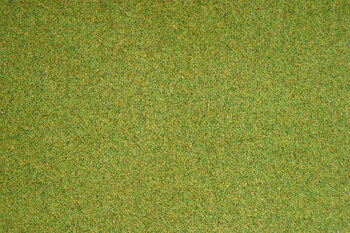 Grasm. Frühlingswiese 200x100
