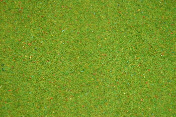 Grasm Blumenwiese 200x100
