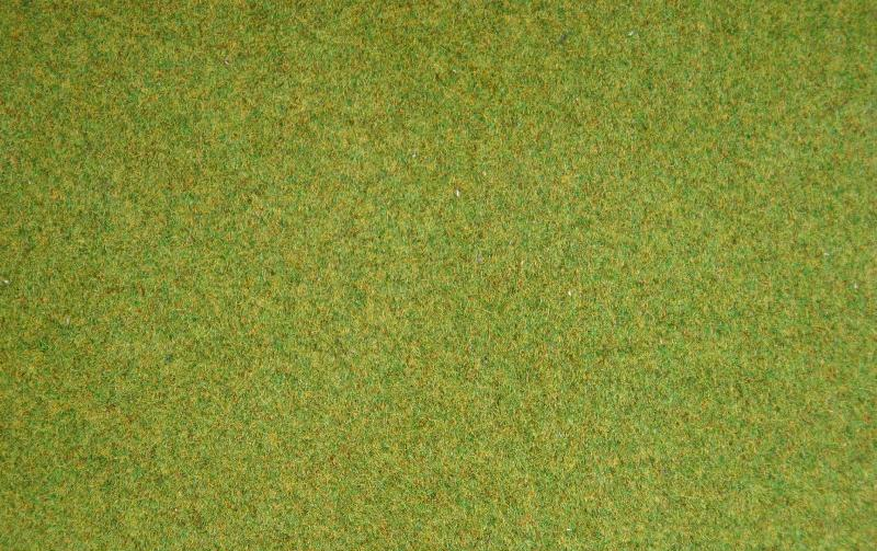 Gräsmatta äng, 120x60