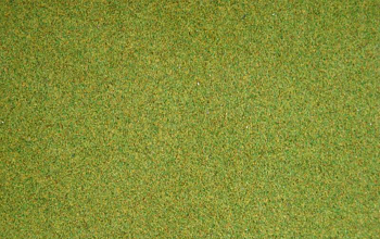 Grasmatte Wiese 120x60