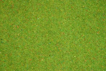 Grasm Blumenwiese 120x60
