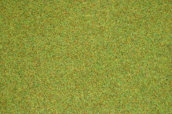 Grasm Sommerwiese 120x60