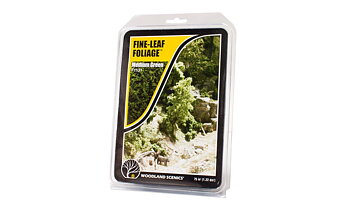 Fine Leaf Foliage, Medium Gree