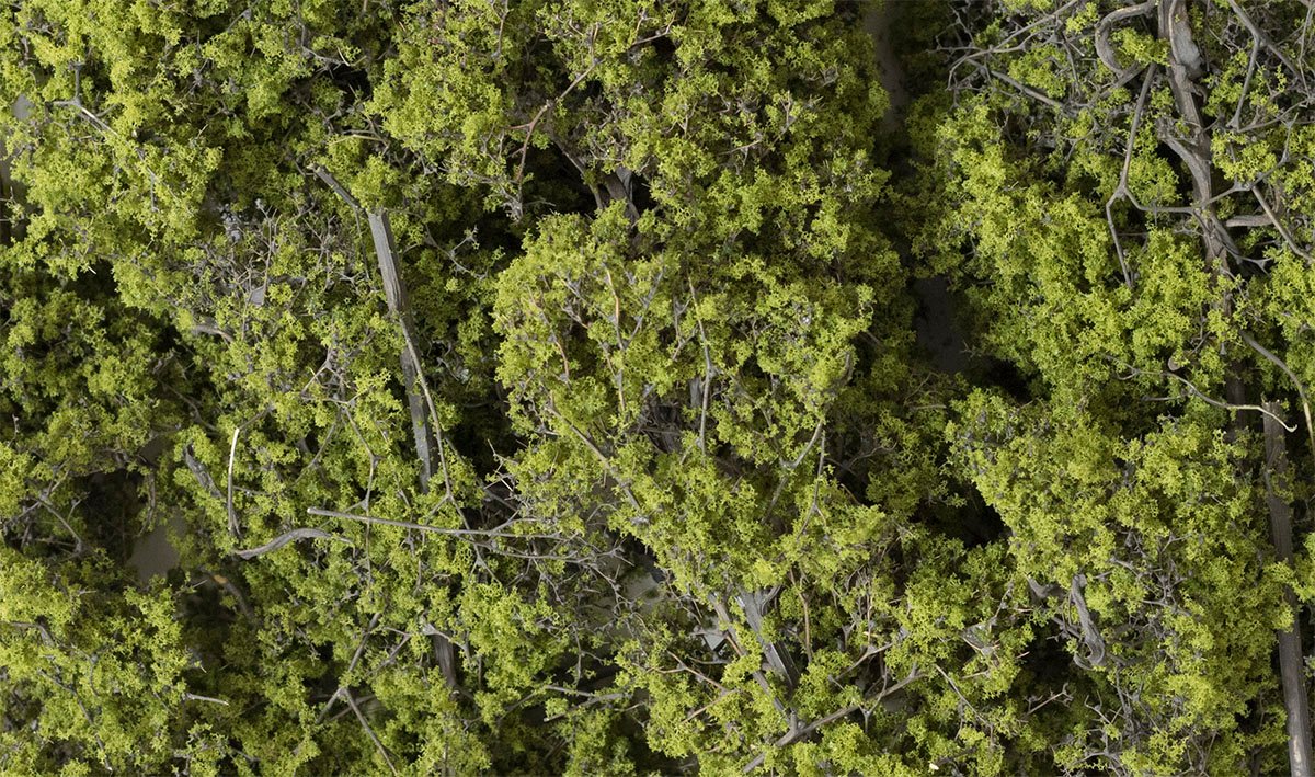 Fine Leaf Foliage, Light Green