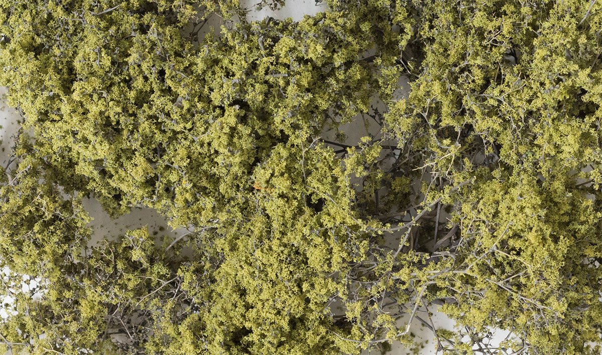 Fine Leaf Foliage, Olive Green