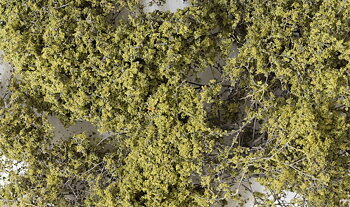 Fine Leaf Foliage, Olive Green