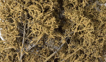 Fine Leaf Foliage, Dead Foliag