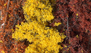 Fine Leaf Foliage, Fall Mix