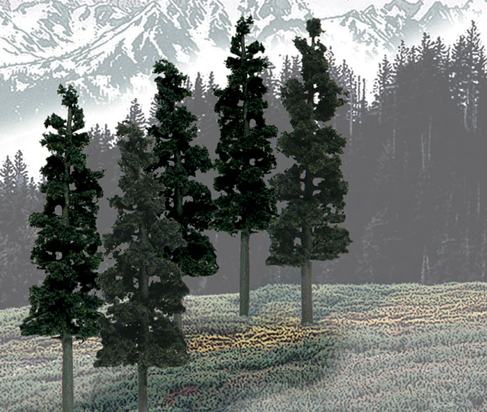 Trees Conifer 6 - 8"