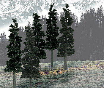 Trees Conifer 6 - 8"