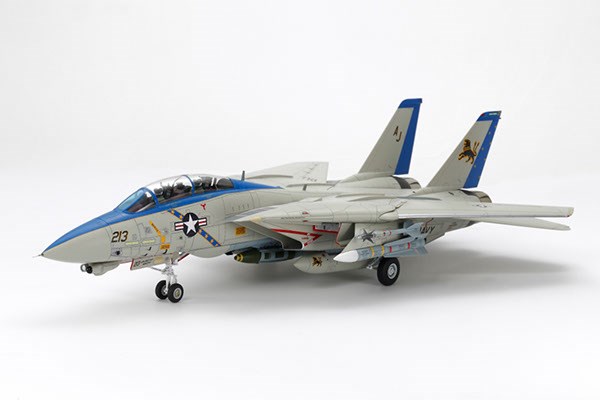 Grumman F-14D Tomcat, 1/48