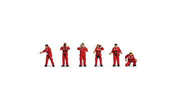 SAR-team, search and rescue