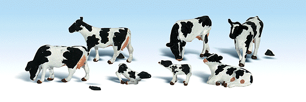 Cows, holstein