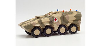 GTL Boxer sanitary vehicle, decorated